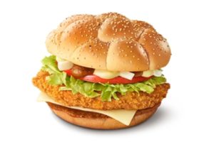 ケバブ風チキンバーガー