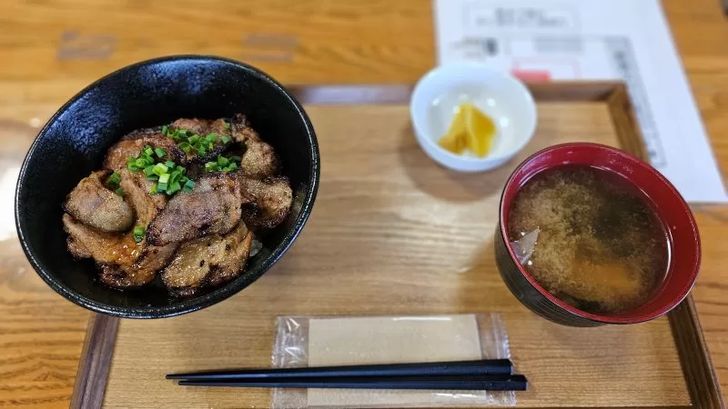 道の駅清川　豚丼ミックス