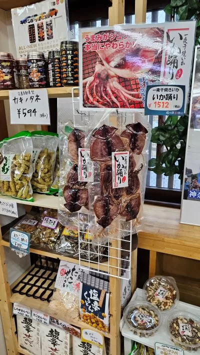 道の駅清川　一夜干し　いか