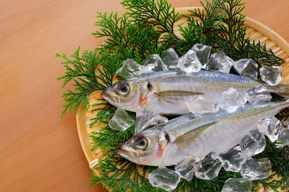 角上魚類で購入したい!おすすめの旬の魚・寿司